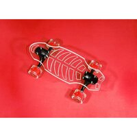 GHOSTBOARDS Mini Cruiser BABY FISHBONE + LED Wheels